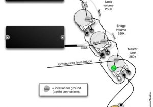 Emg P Bass Pickup Wiring Diagram Emg Wiring Diagram Jazz Bass