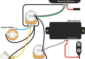 Emg Wiring Diagram 1 Volume Seymour Duncan Active and Passive In the Same Guitar Can