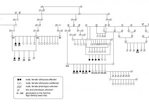 Epicenter E12 908d Wiring Diagram Mutant Wiring Diagram Mri Wiring Diagram Mercury Wiring Diagram