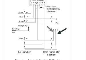 Equus Tachometer Wiring Diagram Marine Tachometer Wiring Diagram Wiring Diagram