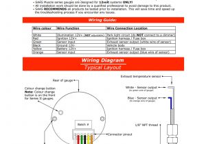 Equus Volt Gauge Wiring Diagram Phantom Gauge Wiring Diagram Hs Cr De