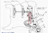 Eric Johnson Strat Wiring Diagram Strat Wiring Schematic Book Diagram Schema