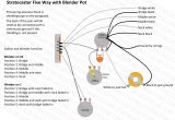 Eric Johnson Strat Wiring Diagram Strat Wiring Schematic Book Diagram Schema