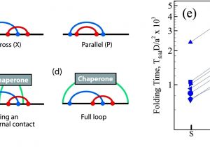 Ethernet Cable Wire Diagram Cat5e Wiring Diagram A or B then Best Network Cable Wiring Diagram Ethernet Cable Wire Diagram Cat5e Wiring Diagram A or B then Best Network Cable Wiring Diagram