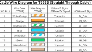 Ethernet Cat5e Cable Wiring Diagram Diagram Of Ethernet Wiring Wiring Diagram Technic