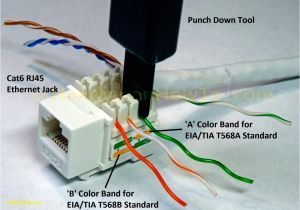 Ethernet Jack Wiring Diagram T1 Wall Jack Wiring Wiring Diagram Post Ethernet Jack Wiring Diagram T1 Wall Jack Wiring Wiring Diagram Post