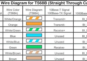 Ethernet Plug Wiring Diagram for the Cat 5 Cable Rj45 Jack Wiring Diagram Free Download Wiring