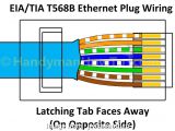 Ethernet Twisted Pair Wiring Diagram 14 Most Ethernet Twisted Pair Wiring Diagram Photos tone