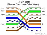 Ethernet Twisted Pair Wiring Diagram Ethernet Wiring On Figure 4 Wiring Diagram for An Ethernet Ethernet Twisted Pair Wiring Diagram Ethernet Wiring On Figure 4 Wiring Diagram for An Ethernet