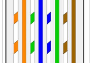 Ethernet Twisted Pair Wiring Diagram Networking Schooling How to Use Configure Twisted Pair Ethernet Twisted Pair Wiring Diagram Networking Schooling How to Use Configure Twisted Pair
