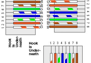 Ethernet Twisted Pair Wiring Diagram Wg 5669 Twisted Pair Cable Schematic Free Diagram Ethernet Twisted Pair Wiring Diagram Wg 5669 Twisted Pair Cable Schematic Free Diagram