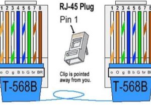 Ethernet Wall Jack Wiring Diagram Cat 5 6 Cabling Standard and Cable Type Ethernet Wiring