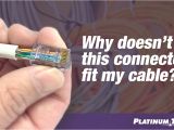 Ethernet Wall Jack Wiring Diagram why Doesn T This Connector Fit My Cable Platinum toolsa Ethernet Wall Jack Wiring Diagram why Doesn T This Connector Fit My Cable Platinum toolsa