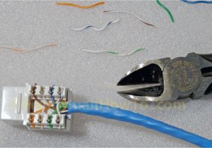 Ethernet Wall socket Wiring Diagram Cat 6 Ethernet Wall Jack Wiring Wiring Diagram View Ethernet Wall socket Wiring Diagram Cat 6 Ethernet Wall Jack Wiring Wiring Diagram View