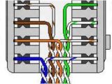 Ethernet Wiring Diagram Wall Jack Cat5 to Jack Wiring Guide Blog Wiring Diagram