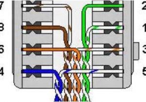Ethernet Wiring Diagram Wall Jack Cat5 to Jack Wiring Guide Blog Wiring Diagram Ethernet Wiring Diagram Wall Jack Cat5 to Jack Wiring Guide Blog Wiring Diagram