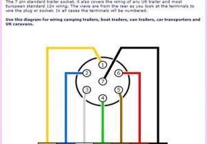 Euro 13 Pin Plug Wiring Diagram Printable Trailer Wiring Diagram List Of Schematic Circuit Diagram Euro 13 Pin Plug Wiring Diagram Printable Trailer Wiring Diagram List Of Schematic Circuit Diagram
