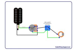 Evh Pickup Wiring Diagram Eddie Van Halen Wiring Diagram Wiring Diagram Article Review