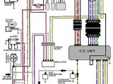 Evinrude Kill Switch Wiring Diagram Omc Control Wiring Diagrams Wiring Diagram Database