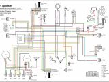 Evo 3 Wiring Diagram Rigid Evo Sportster Illuminator Pro 3 Wiring Diagram the and Buell
