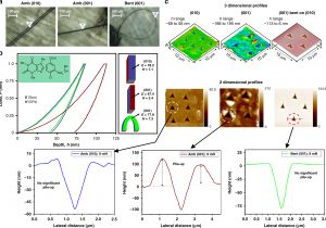 Ew 36 Wiring Diagram Mechanically Interlocked Architecture Aids An Ultra Stiff Ew 36 Wiring Diagram Mechanically Interlocked Architecture Aids An Ultra Stiff