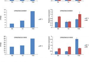 F150 Starter Wiring Diagram F150 Starter Wiring Diagram Best Of Starter Wiring Diagram New 61 F150 Starter Wiring Diagram F150 Starter Wiring Diagram Best Of Starter Wiring Diagram New 61