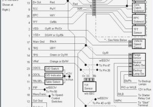 F150 Starter Wiring Diagram F150 Starter Wiring Diagram Best Of Starter Wiring Diagram New 61 F150 Starter Wiring Diagram F150 Starter Wiring Diagram Best Of Starter Wiring Diagram New 61