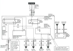 Fan Control Switch Wiring Diagram Delightful Diagram for Ceiling Fan Switch Hunter Wiring Blue Wire