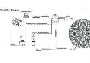 Fan Wiring Diagram Electric Fan Relay Wiring Diagram New Wiring Diagram Radiator Fan Fan Wiring Diagram Electric Fan Relay Wiring Diagram New Wiring Diagram Radiator Fan