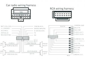 Fan Wiring Diagrams Ceiling Two Switch Ceiling Fan Wiring Gymkuatic Com Co