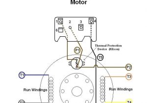 Femco Motors Wiring Diagram Ge Motor Wiring Diagram Wiring Diagram Expert