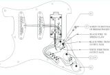 Fender American Standard Stratocaster Wiring Diagram Fender American Standard Wiring Schematic Wiring Diagram Technic