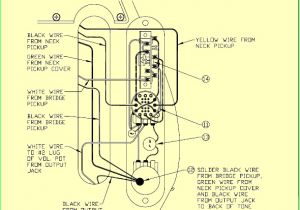 Fender Baja Telecaster Wiring Diagram Baja Telecaster Wiring Diagram Wiring Diagram Technic