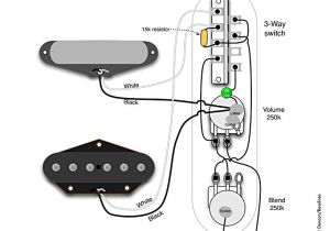 Fender Baja Telecaster Wiring Diagram Telecaster Fender Wire Diagrams Data Wiring Diagram