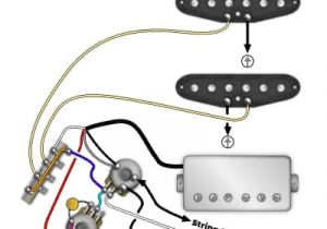 Fender Fat Strat Wiring Diagram Guitar Wiring Diagrams Dimarzio Wiring Diagram Technic
