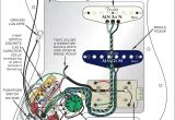 Fender Fat Strat Wiring Diagram Guitar Wiring Diagrams Fender Wiring Diagram Article Review