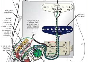 Fender Fat Strat Wiring Diagram Guitar Wiring Diagrams Fender Wiring Diagram Article Review