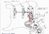 Fender Fat Strat Wiring Diagram Wiring Diagram Fender Stratocaster Wiring Diagram Mega