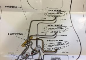Fender Hot Noiseless Pickups Wiring Diagram Co 2213 1960s Fender Stratocaster Wiring Diagram Free Diagram Fender Hot Noiseless Pickups Wiring Diagram Co 2213 1960s Fender Stratocaster Wiring Diagram Free Diagram