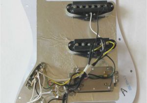 Fender Hss Strat Wiring Diagram Fender Blacktop Stratocaster Hss Wiring Wiring Diagram Center
