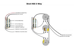 Fender Hss Strat Wiring Diagram Fender Blacktop Stratocaster Hss Wiring Wiring Diagram Center