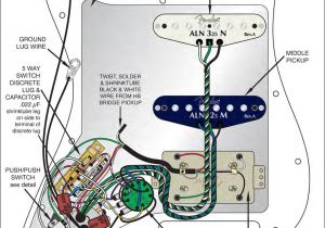 Fender Hss Strat Wiring Diagram Wiring Diagram for Stratocaster Wiring Database Diagram