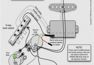 Fender Hss Strat Wiring Diagram Wiring Diagram for Stratocaster Wiring Diagram Img