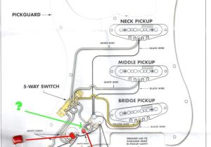 Fender N3 Pickup Wiring Diagram Fender Scn Wiring Diagram Wiring Diagram