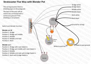 Fender N3 Pickup Wiring Diagram Fender Stratocaster Wiring Diagrams Wiring Diagram Load