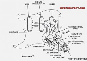 Fender N3 Pickup Wiring Diagram the Strat Wiring Diagram My Wiring Diagram