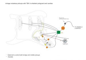Fender Noiseless Pickups Wiring Diagram Wiring Schematic Fender Lead 1 Wiring Diagram Technic Fender Noiseless Pickups Wiring Diagram Wiring Schematic Fender Lead 1 Wiring Diagram Technic