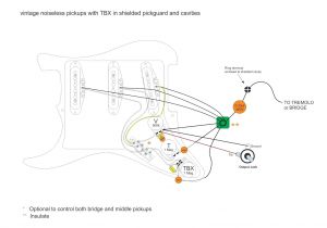 Fender Noiseless Pickups Wiring Diagram Wiring Schematic Fender Lead 1 Wiring Diagram Technic