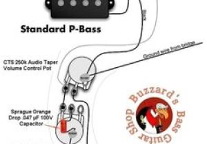 Fender P Bass Wiring Diagram 7 Best P Bass Images In 2016 Bass Flat Bass Guitars