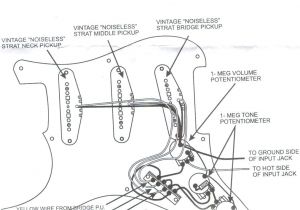 Fender S 1 Wiring Diagram Fender Noiseless Strat Wiring Diagrams Wiring Diagram today